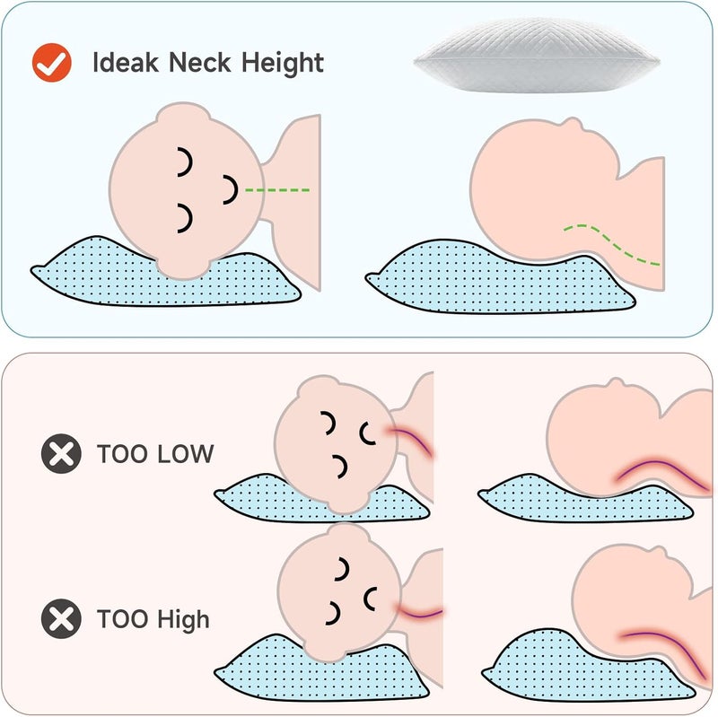 CHOC CHICK Memory Foam Toddler Pillow Pack of 2,20X14' Kids Pillow with Machine Washable Pillowcase Rayon Derived from Bamboo,Adjustable Height Toddler Pillows for Sleeping 2-6 Years Old(White) - Image 4